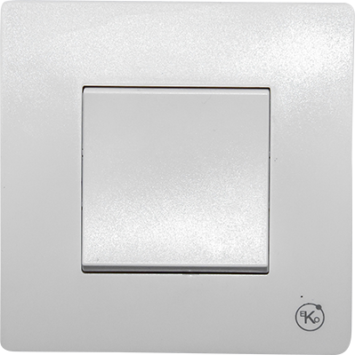 INTERUP SIMPLE  BSW-01 10 A, 230 V 1050300201