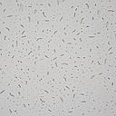 DALLE PLAFOND MINERAL  FIBRE 60x60x12MM MO41102