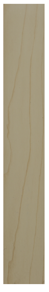 BANDE DE CHANT L100mXW22mmXT1.0MM Color No. 6109-1 1070600241