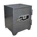 COFFRE GODREJ  FR  445 + EL HT GREY 212/101 46171591DG00240  (H)640 x (L)495 x (P)500mm 105KG