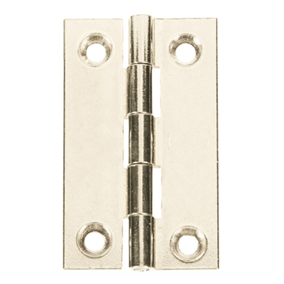 CHARNIERE L30 x W19 x T1 mm 2091201100