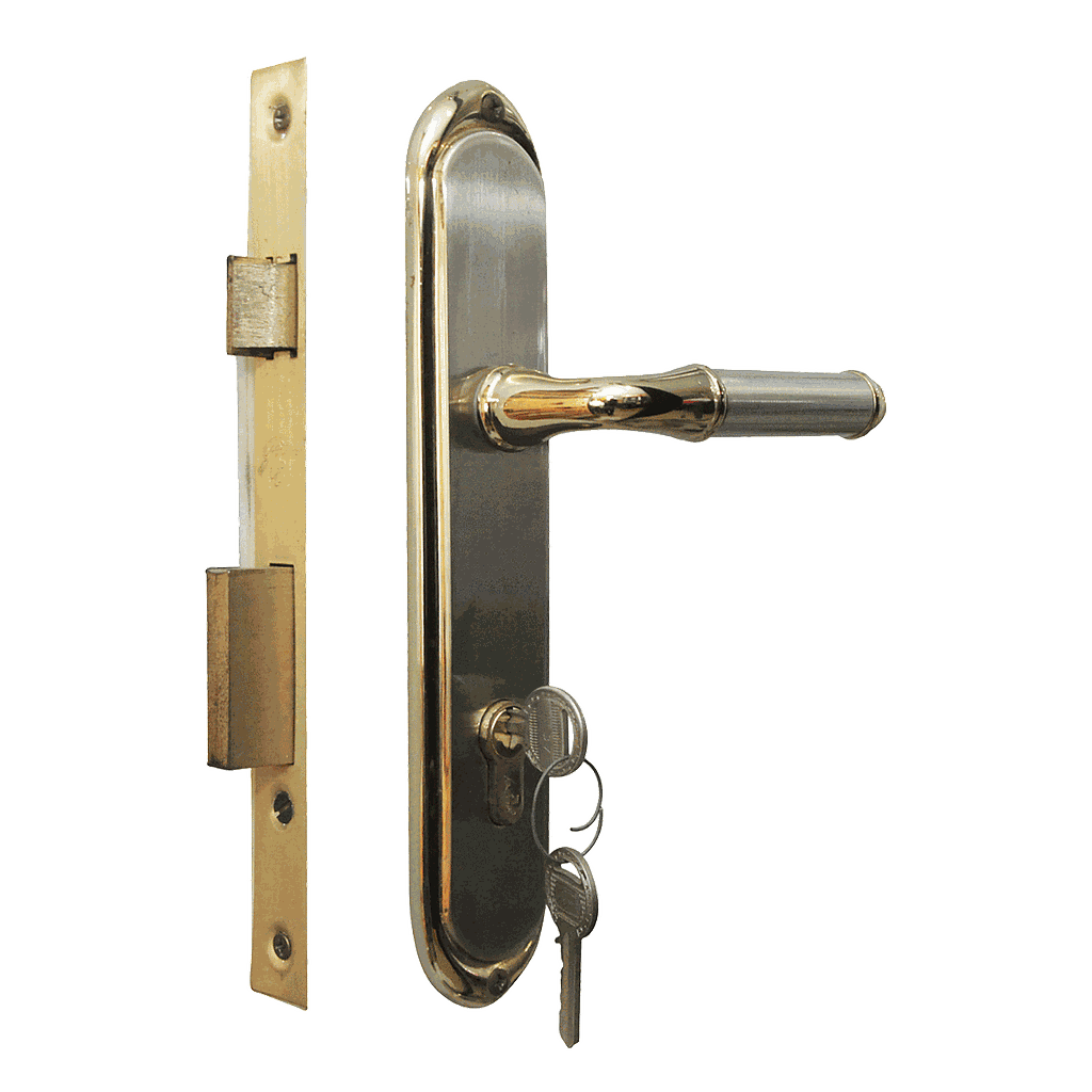 SERRURE ENCASTRE GODREJ 240 Euro Lock 2C LKXPDM356