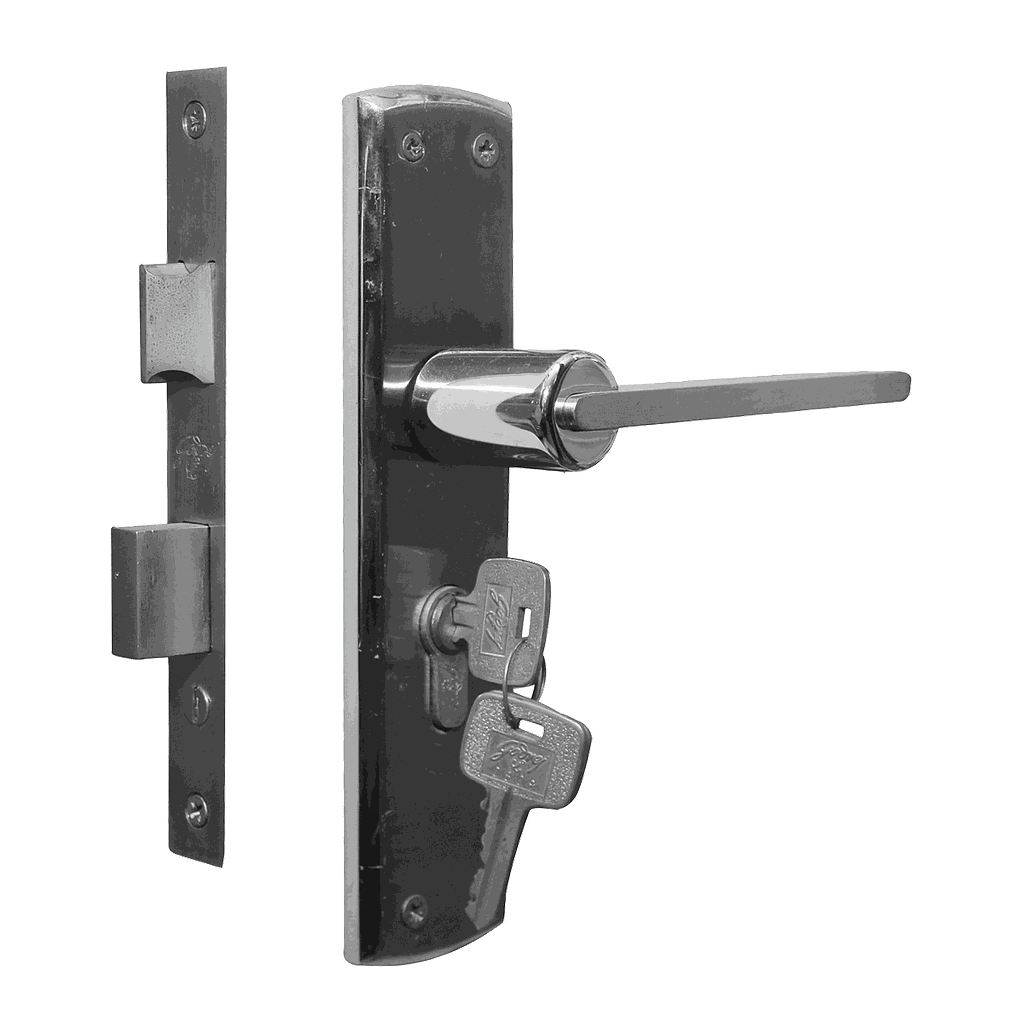 SERRURE PORTE COMPLET GODREJ 8'' 2C LKYPDMP18
