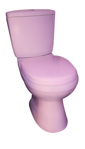 WC anglaise complet d/p DF102P horiz rose hld