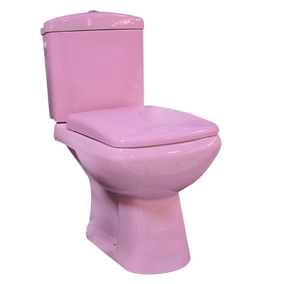 WC ANGLAISE COMPLET D/P DF132P HORIZ ROSE HLD