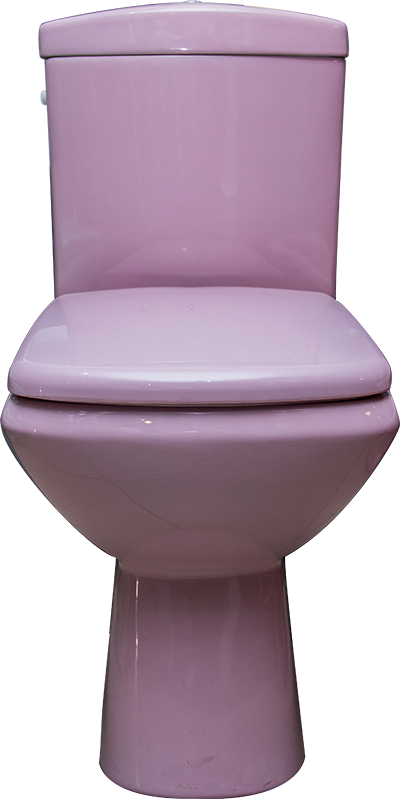WC ANGLAISE COMPLET D/P DF132S VERTI ROSE HLD