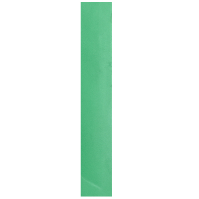 BANDE DE CHANT L100 m x W22 mm x T1.0 mmColor No. 6055 green。 1070600242