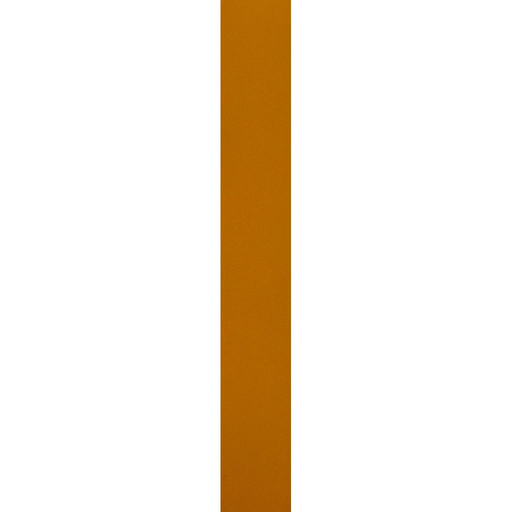 BANDE DE CHANT  L1 m x W22 mm x T1.0 mmColor No. H005-1 orange 1070600244/M