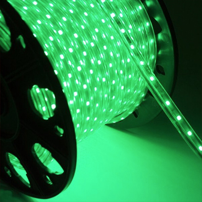 BANDE LED LUMINEUSE Green 2835-60P-220V