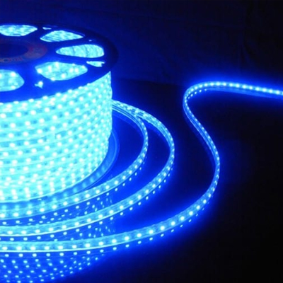 BANDE LED LUMINEUSE Blue  2835-180P-220V