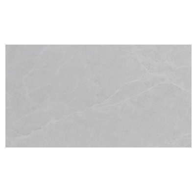 CARREAUX MURAL 30X60 6110 L T (AGL)
