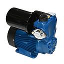 Pompe a eau a pression automatique TP750 750 W  CE 750 W, 230 V/50 Hz, 3 m3/h,  E 45 m, A 7 m,  50L/mn D 1'' IP44  3060203531