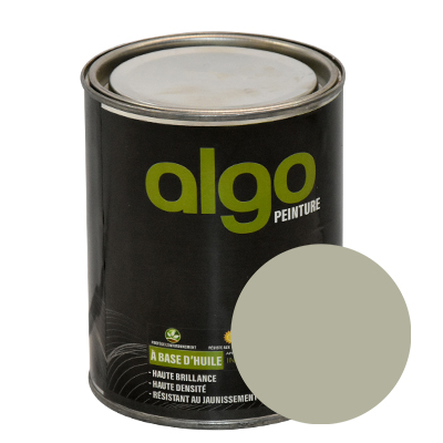 PEINTURE A L HUILE LIGHT GREY 700G B89 ALGO