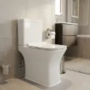 WC inde complet devon horizontal white (P) (DNV)