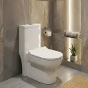 WC INDE MONOBLOC(P) 107 HORIZONTAL (DNV)
