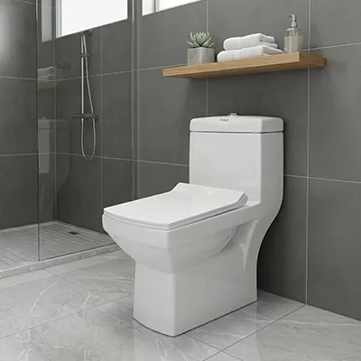 WC MONOBLOC COMPLET HORIZONTAL-102-P (DNV)