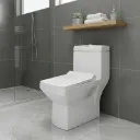 WC MONOBLOC COMPLET HORIZONTAL-102-P (DNV)