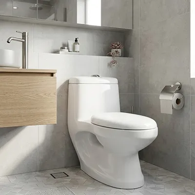 WC MONOBLOC COMPLET HORIZONTAL-101-P (DNV)