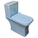 WC inde complet devon vertical blue (S); (DNV)