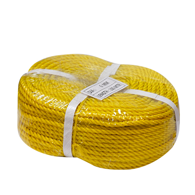 CORDE NYLON 6MM JAUNE 100 YARD RLX 91,45M (UE)