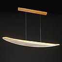LUSTRE SUSPENDU LED25-40X1W 180-265V AC50-60HZ 100x13x14cm UR2398