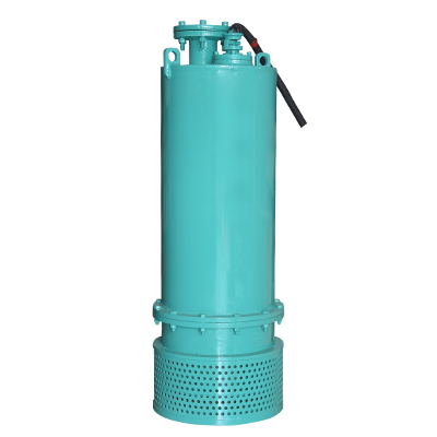 POMPE IMMERGEE BQS32-67/2-15/N 15 kW 380V 32 m³/H 67M Ø2"1/2  3000rpm 3060203544