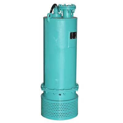 POMPE IMMERGEE BQS165-30-22 22 kW  380CV165M3/h 30m Ø4" 3060203547
