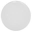 PLAFONNIER LED ROND APPARENT  PA23-R20W  20W COLOR:WH Ø250*H40MM AC110-240V 50/60Hz (RITL)