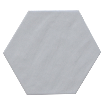 Carreaux sol 20X24 hex ec b chiara blanco (ECRM) (SB)