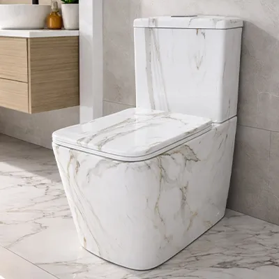 WC ANGLAISE COMPLET D/P DF DF8261 P HOR WHITE MARBLE AQUA