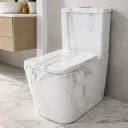 WC ANGLAISE COMPLET D/P DF DF8261 P HOR WHITE MARBLE AQUA