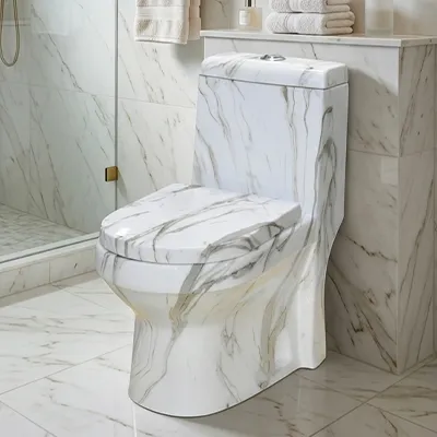 WC MONOBLOC COMPLET D/P DF DL1020 P HOR WHITE MARBLE AQUA