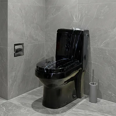 WC MONOBLOC COMPLET D/P DF DL1020 P HOR BLACK MARBLE AQUA