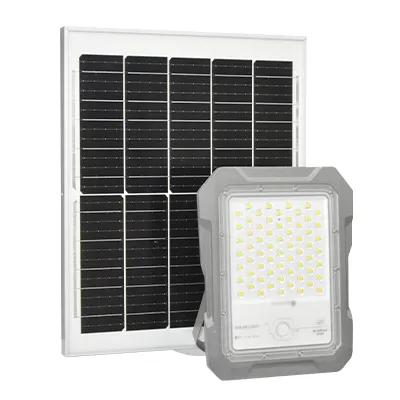 PROJECTEUR SOLAIRE  200W 1343lm 5V 30W PANNEAU SOLAIRE 10000K 30000K +COM IP65 1050204024