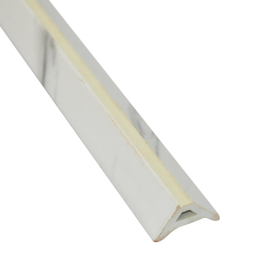 PLINTHE EN L 25x25x2900 SM601 Line B