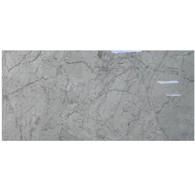 Carreaux sol 60X120 apenino gris (UE) (POLISHED)