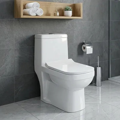 WC complet monobloc white vertical N°105 (DNV)