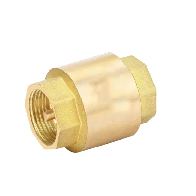 Clapet anti-retour laiton, 3/4" FF 2110210558