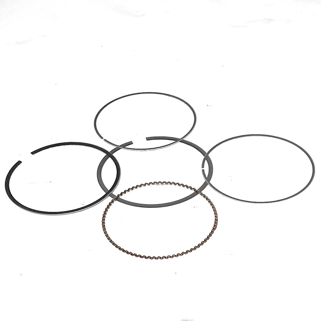 SEGMENT 13010-Z5K-003 POUR PLAQUE VIBRANTE