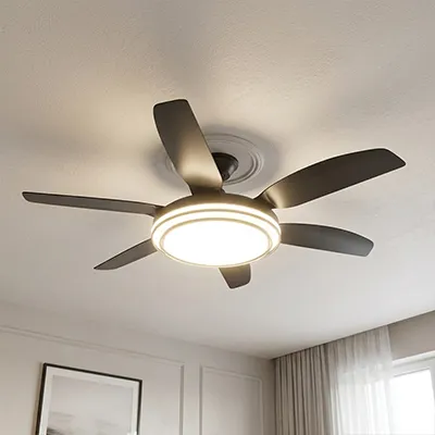 VENTILATEUR DE PLAFOND AVEC LUMIERE  CT-3216 200-240V/50HZ 60W MAX  LED36W E5A 260V AC 6PAL +COM  (NOIR)