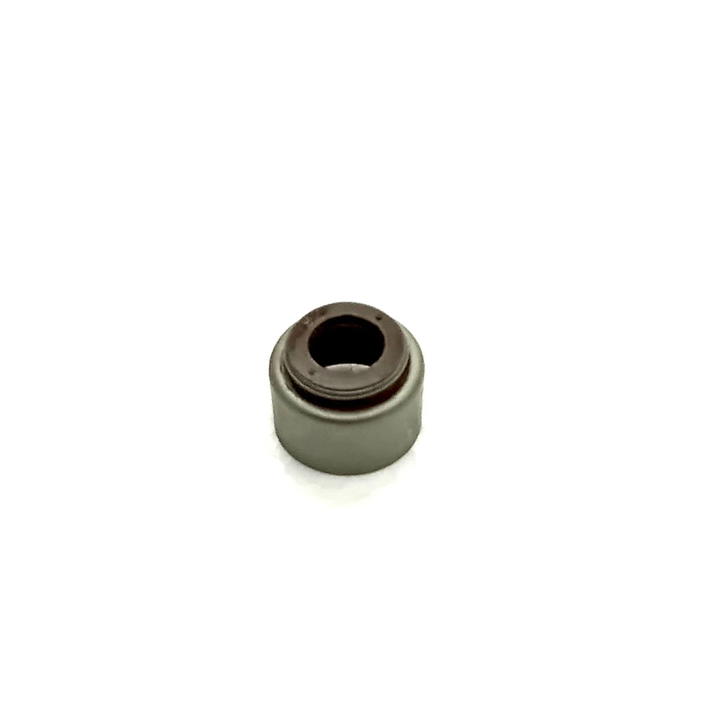 JOINT DE QUEUE DE SOUPAPE R.010019YA NLX-1404