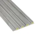 PANNEAU MURAL WPC COULEUR 55-M2025 155x17x2900