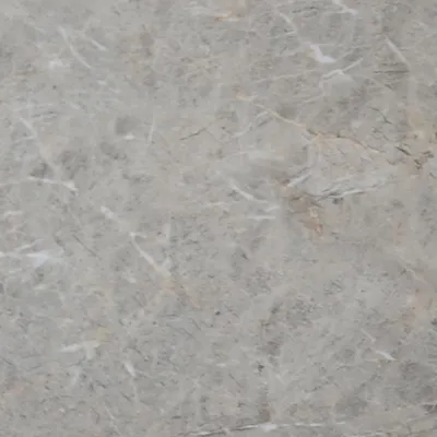 CARREAUX SOL 60X60 FOSSIL BEIGE (BR) (AGL)