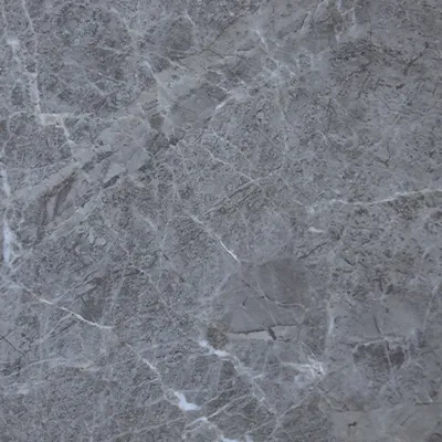 CARREAUX SOL 60X60 FOSSIL GRIS (BR) (AGL)