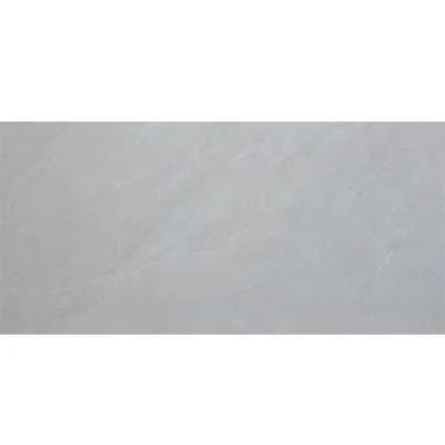 CARREAUX SOLS 60X120 LY168M03 (JJN)