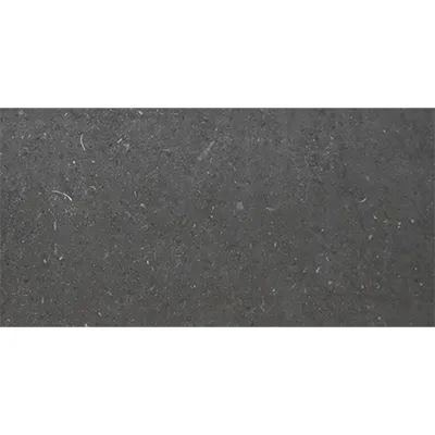 CARREAUX SOLS 60X120 LY60SM006 (JJN)