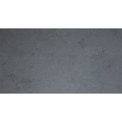 CARREAUX SOLS 60X120 LY60SM009 (JJN)