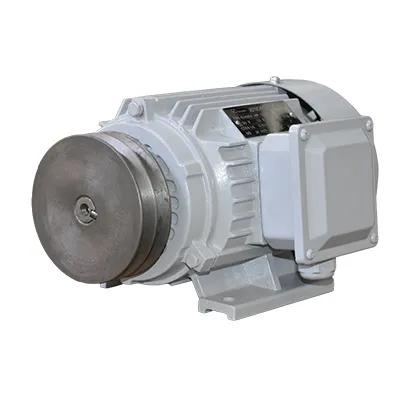 [AGE009] Moteur electrique 750W 380V 50Hz Europower MZ17074