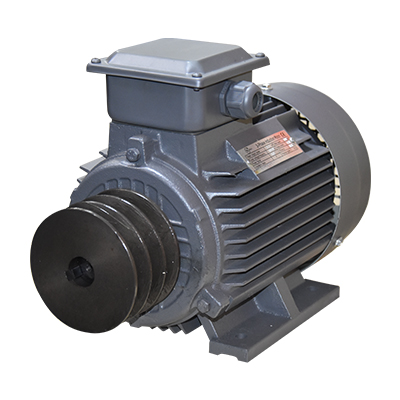 [AGE021] MOTEUR ELEC  2,2KW AVEC POULIE 380V-50HZ 5.5A  2900RPM IP55 MZ17080 EKO MAXX