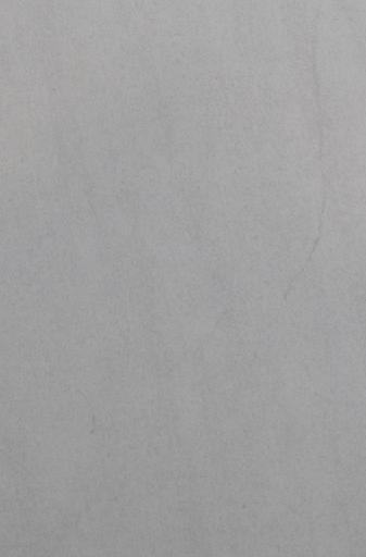 [CSM061] CARREAUX MURAL 31.6X48 DALI BLANCO